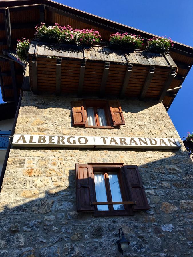 Albergo Meuble Tarandan Forni di Sopra Extérieur photo